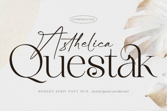 Asthelica Questak First Impressions and Design Insights