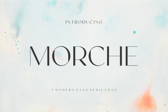 Choosing Morche for a Modern Editorial Layout