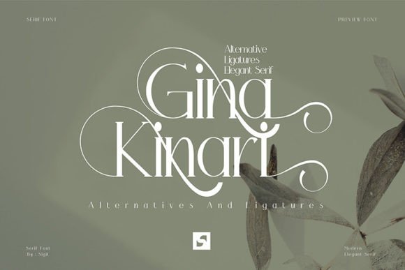 Gina Kinari: A Modern Serif Font for Bold Campaigns