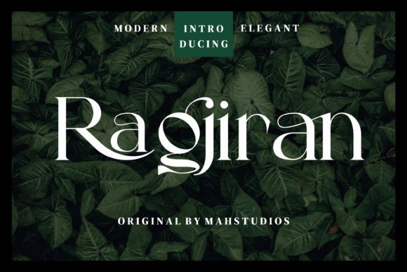 Ragjiran: A Serif Font That Elevates Your Brand