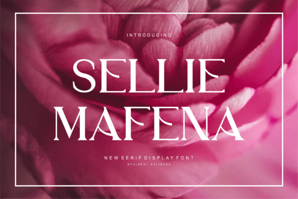 Sellie Mafena for Web Design: A Bold Serif Font with Elegance